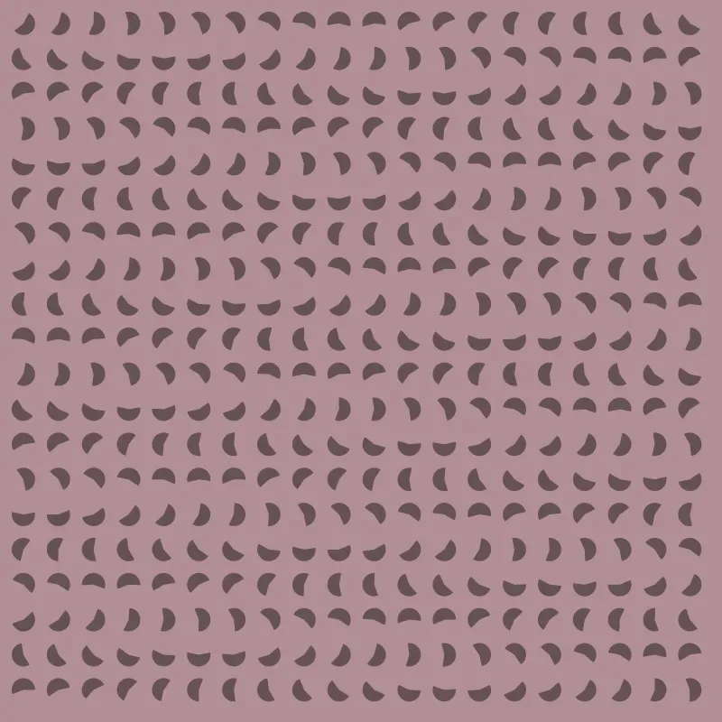 Sacilotto Hash — ZYDRON, 2021